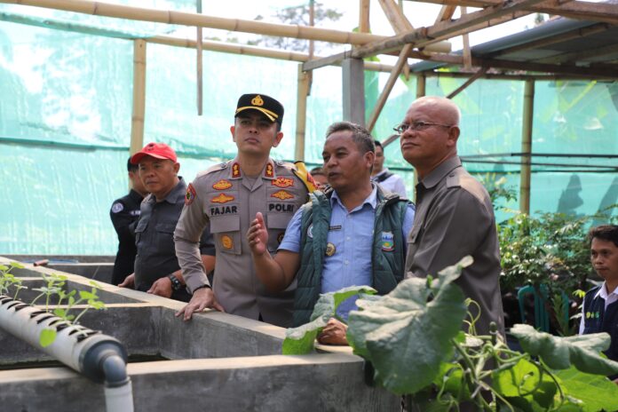 IMG-20241110-WA0043 Sekretaris Daerah (Sekda) Kabupaten Garut, Nurdin Yana, menghadiri kegiatan _Launching_ Pekarangan Pangan Bergizi yang diselenggarakan oleh Polres Garut di Desa Wanajaya, Kecamatan Wanaraja, Kabupaten Garut, Sabtu (9/11/2024).