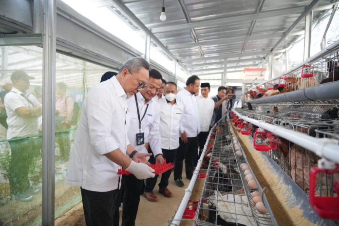 Menko Pangan RI Panen Brokoli hingga Ayam Petelur di Rumah Pangan PNM.